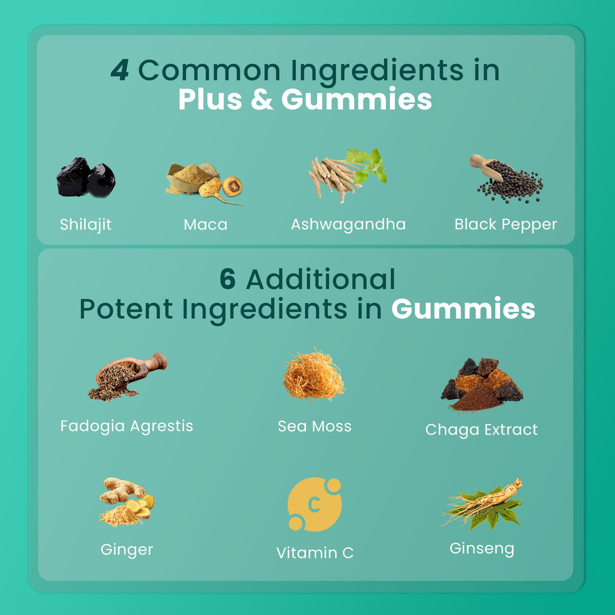 BeepWell Shilajit Resin Plus & Gummies Bundle