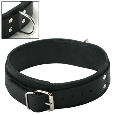 Strict Leather Standard Lined Collar