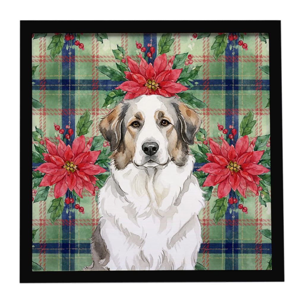 Badger Great Pyrenees Christmas PoinsettIas Framed Metal Print