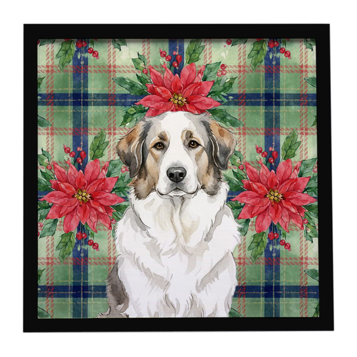 Badger Great Pyrenees Christmas PoinsettIas Framed Metal Print