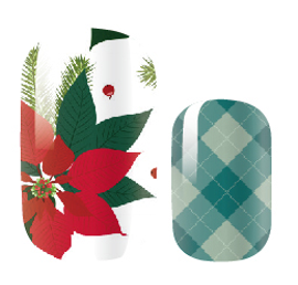 Christmas Poinsettia