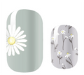 White Daisy Days