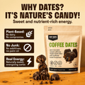 Chocolate Stuffed Dates Variety Pack - 4 Pouches