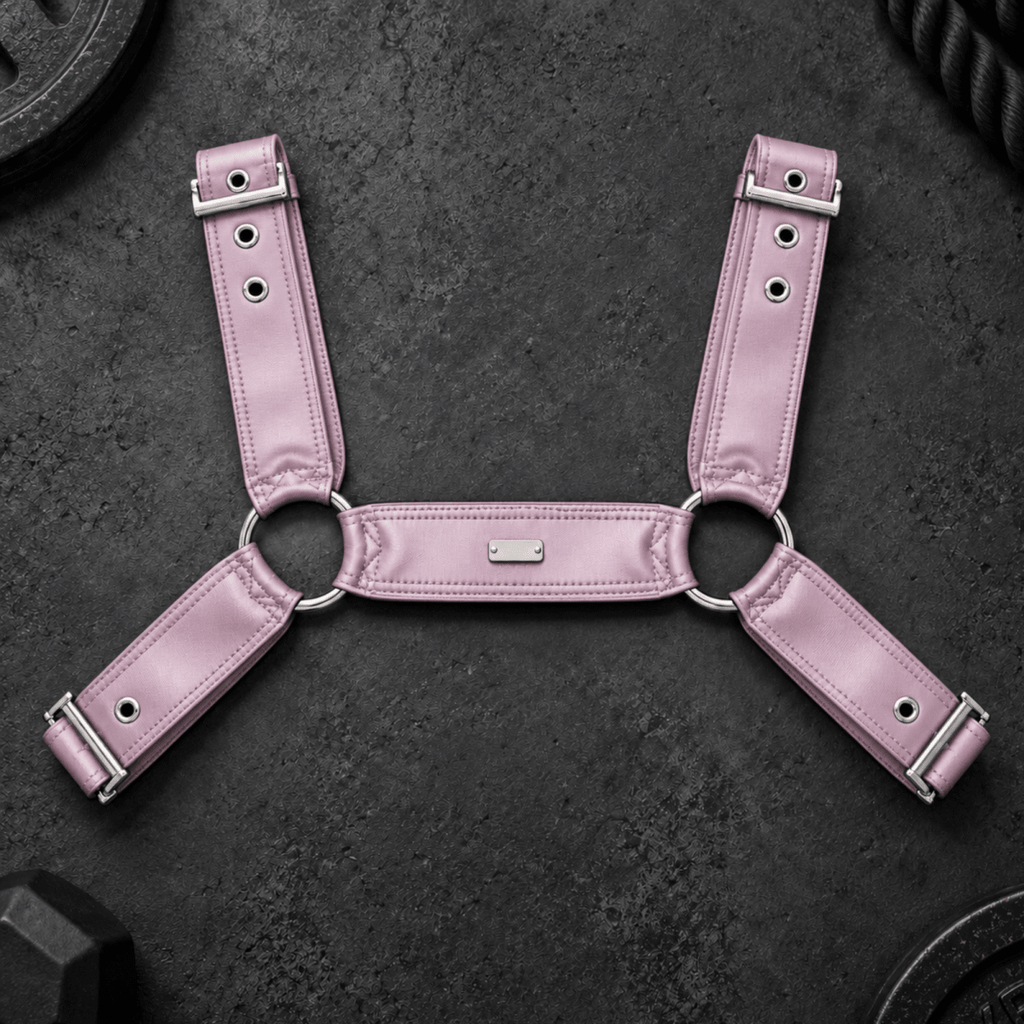 DNGEON CLASSIC BELT HARNESS