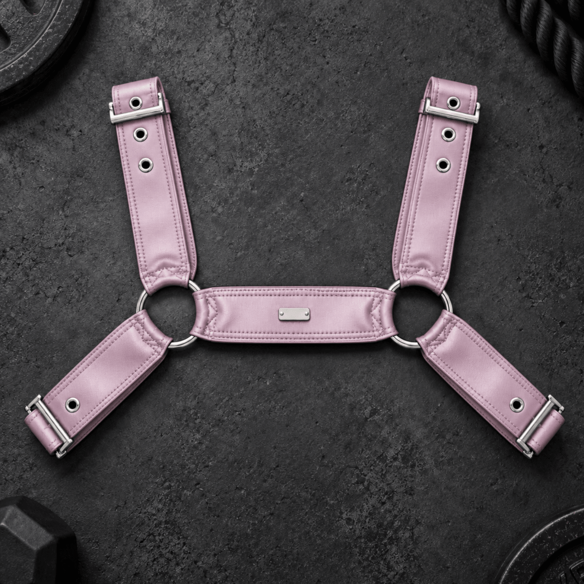 DNGEON CLASSIC BELT HARNESS