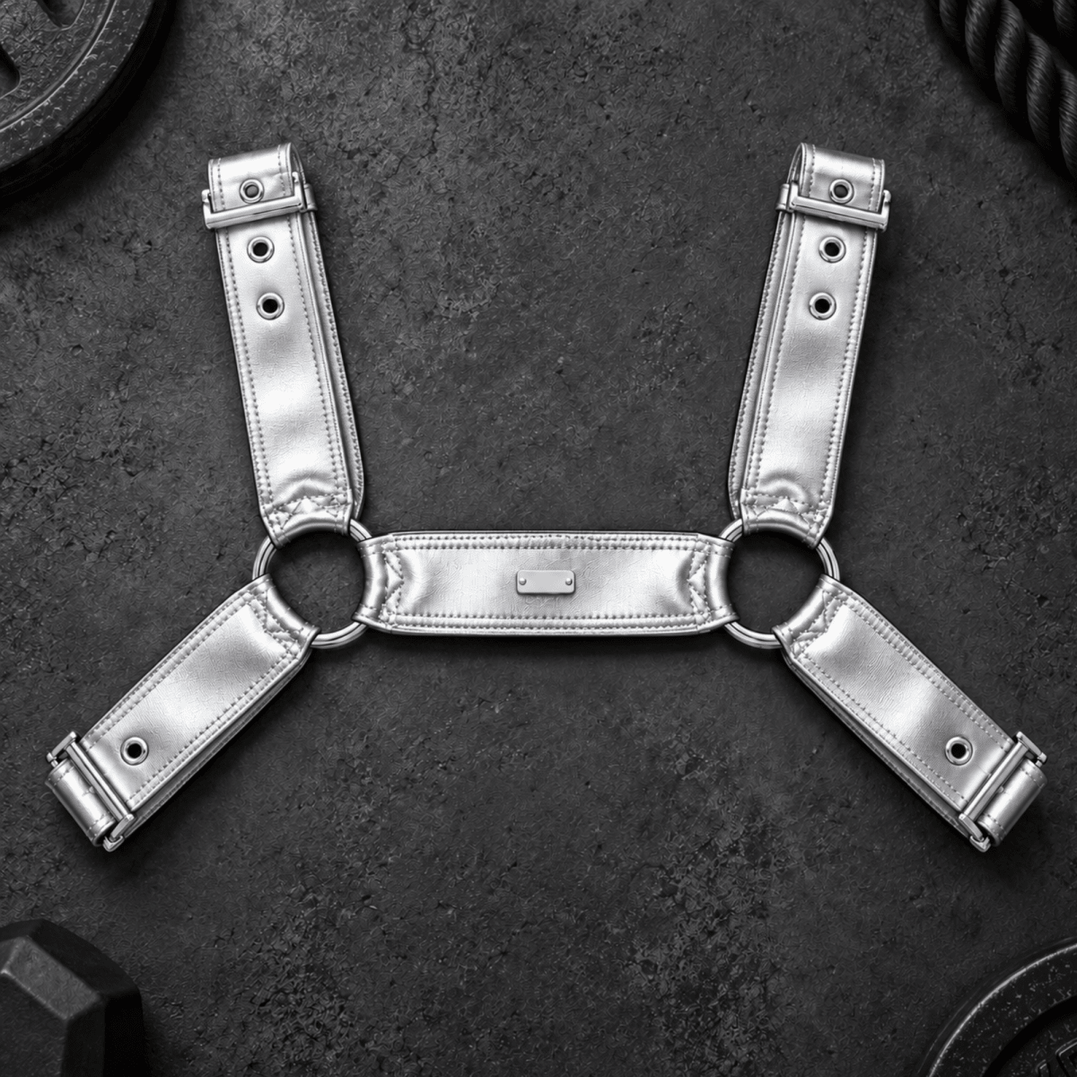 DNGEON CLASSIC BELT HARNESS