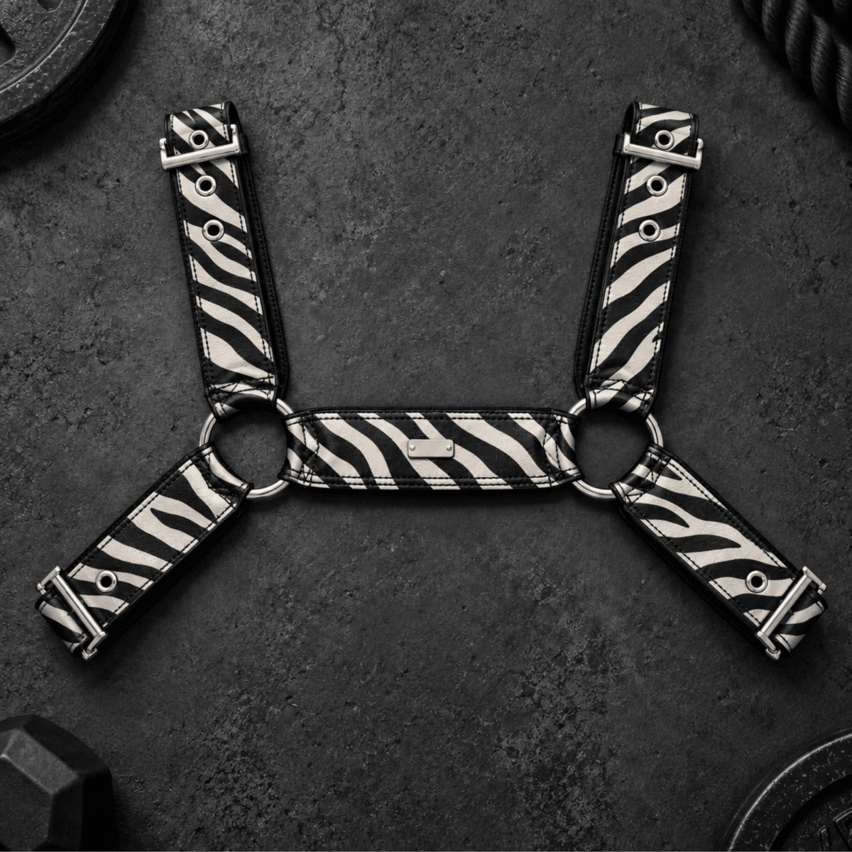 DNGEON CLASSIC BELT HARNESS