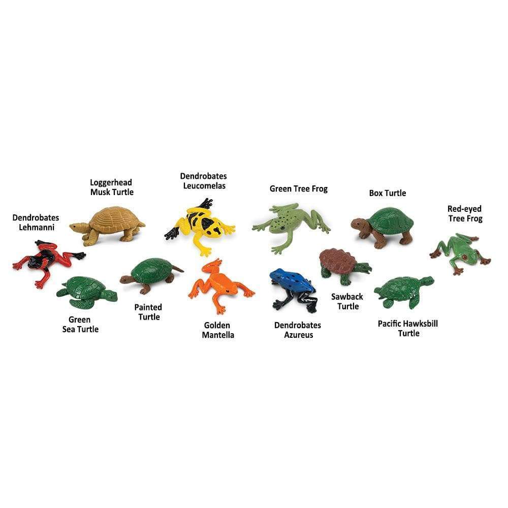 Frog & Turtle Toys TOOB®