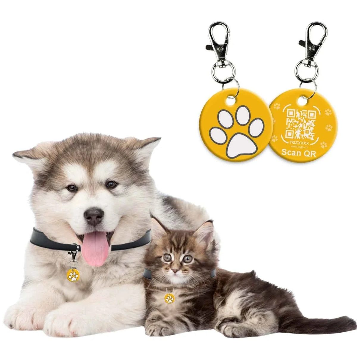 Genie Pet Tag