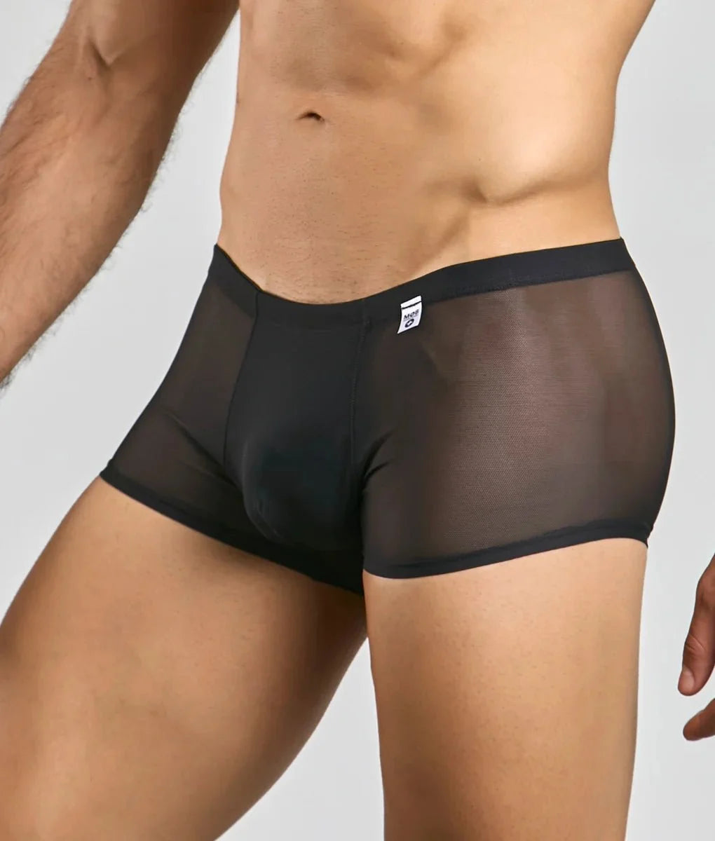 Men's Mesh Lace Pouch Trunk
